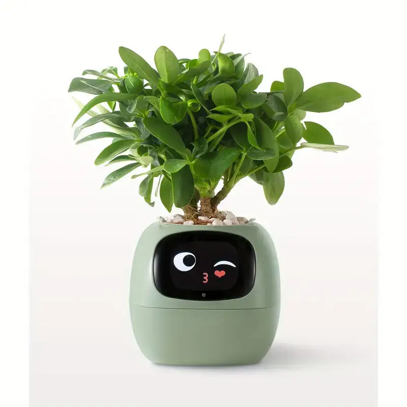 Botanix™ – Interactive Smart Flower Pot